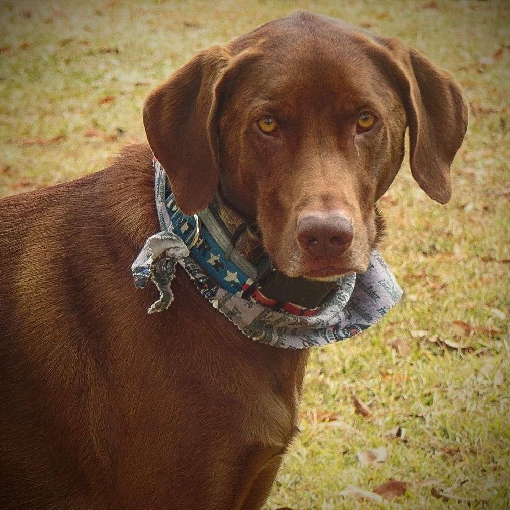 Meet your Posher, Dianna